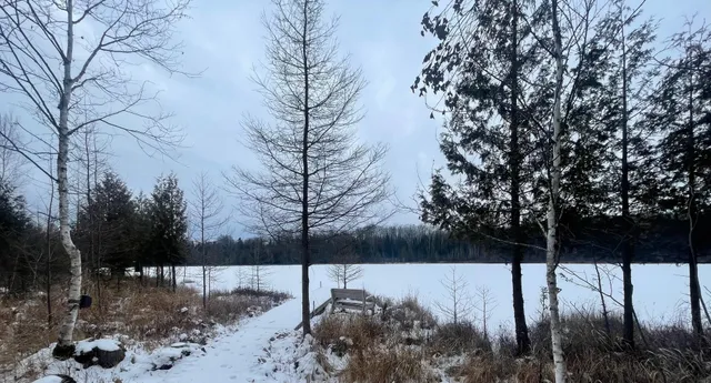 $119,900 | 14463 Angel Crest Lane, Lakewood, WI 54138