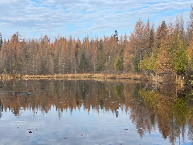 $119,900 | 14463 Angel Crest Lane, Lakewood, WI 54138