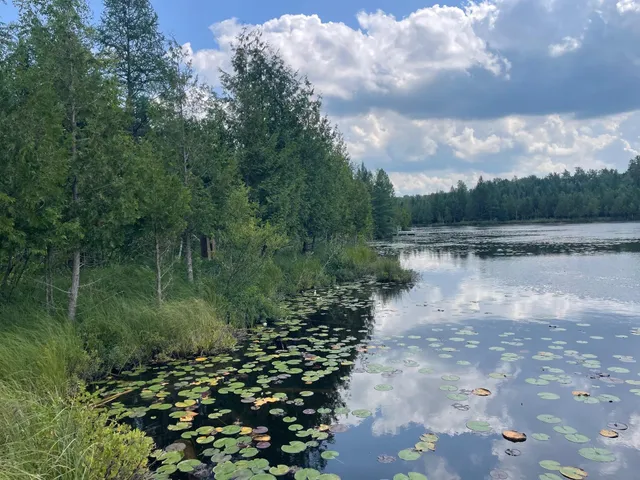 $119,900 | 14463 Angel Crest Lane, Lakewood, WI 54138