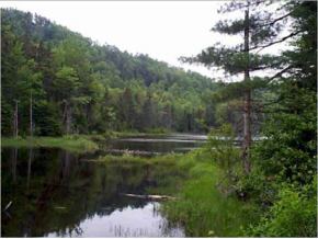 0 Under Mt Road Lyman, NH 03585 - Photo 1 of 8