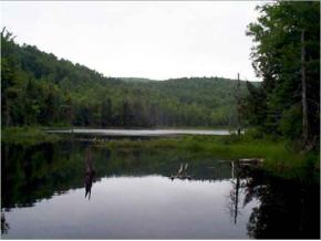 0 Under Mt Road Lyman, NH 03585 - Photo 2 of 8
