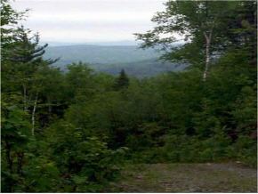 0 Under Mt Road Lyman, NH 03585 - Photo 6 of 8