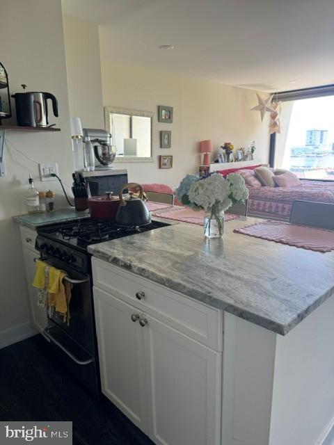 200 Locust Street, Unit 6EN Philadelphia, PA 19106 - Photo 4 of 15