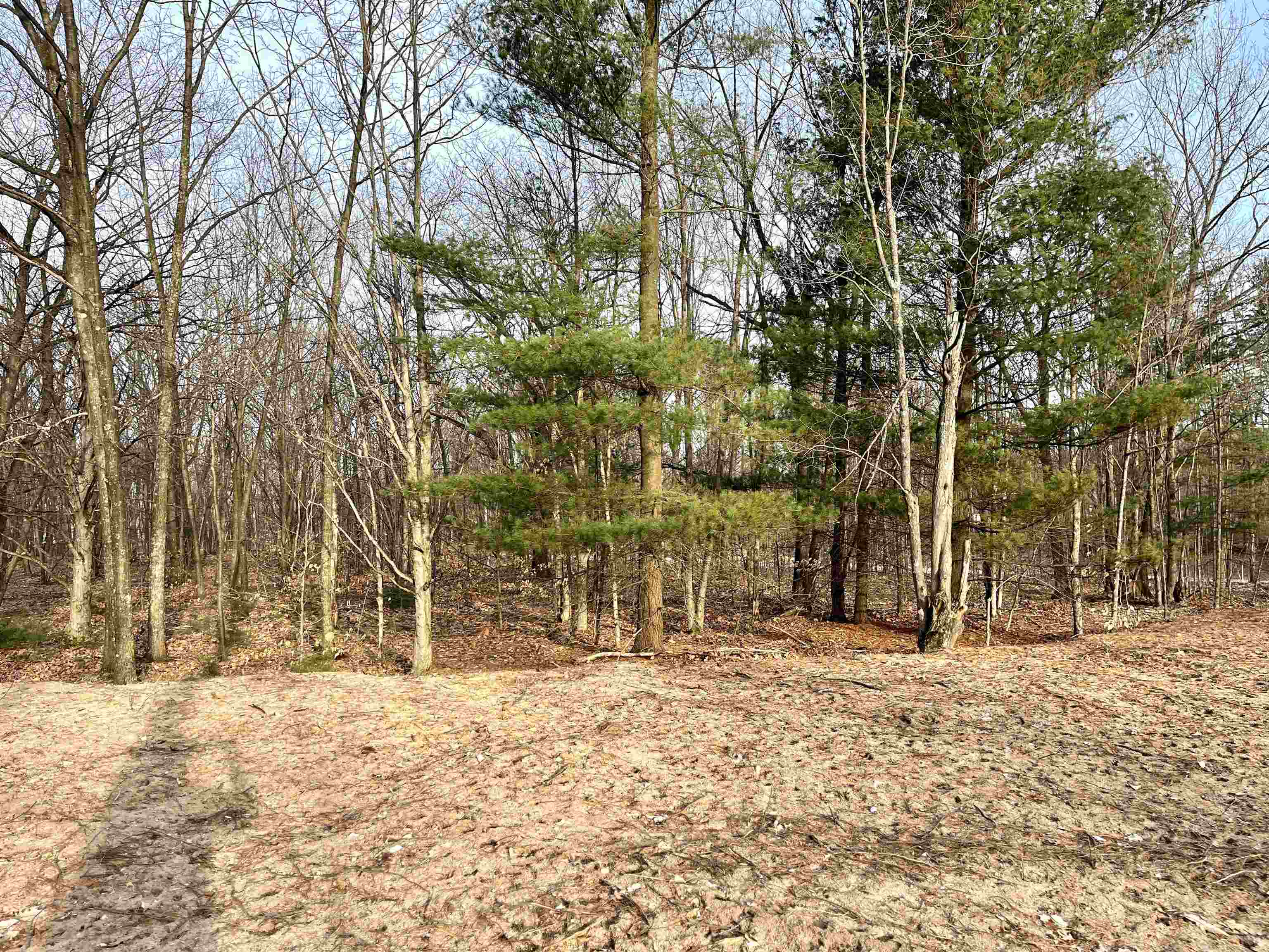 Parcel E West Trumbull Road Maple City, MI 49664 - Photo 12 of 16