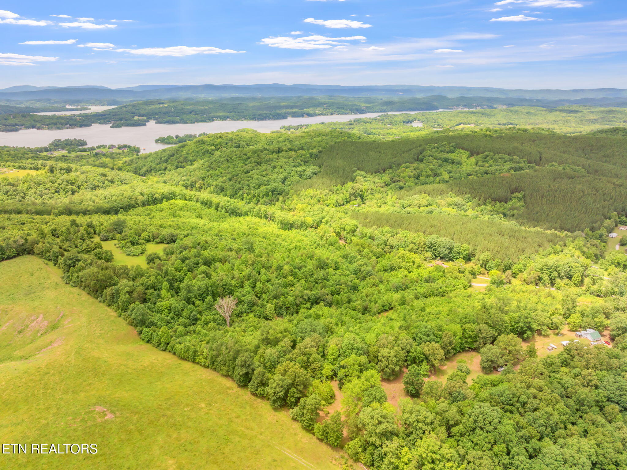 0 Grigsby Hollow Road Kingston, TN 37763 - Photo 11 of 34 6-web-or-mls-Grigsby Hollow Land-5