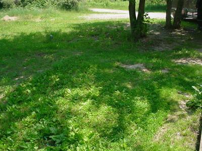 3745 Loftus Road Freeport, MI 49325 - Photo 2 of 10 Additional Photo