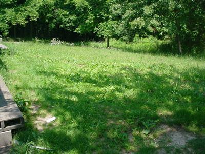 3745 Loftus Road Freeport, MI 49325 - Photo 3 of 10 Additional Photo