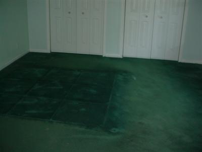 3745 Loftus Road Freeport, MI 49325 - Photo 7 of 10 Additional Photo