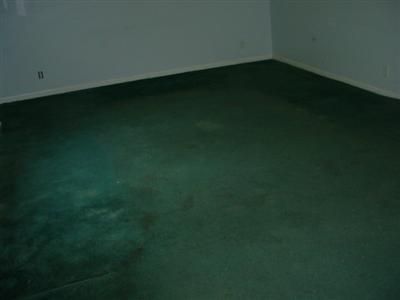 3745 Loftus Road Freeport, MI 49325 - Photo 8 of 10 Additional Photo