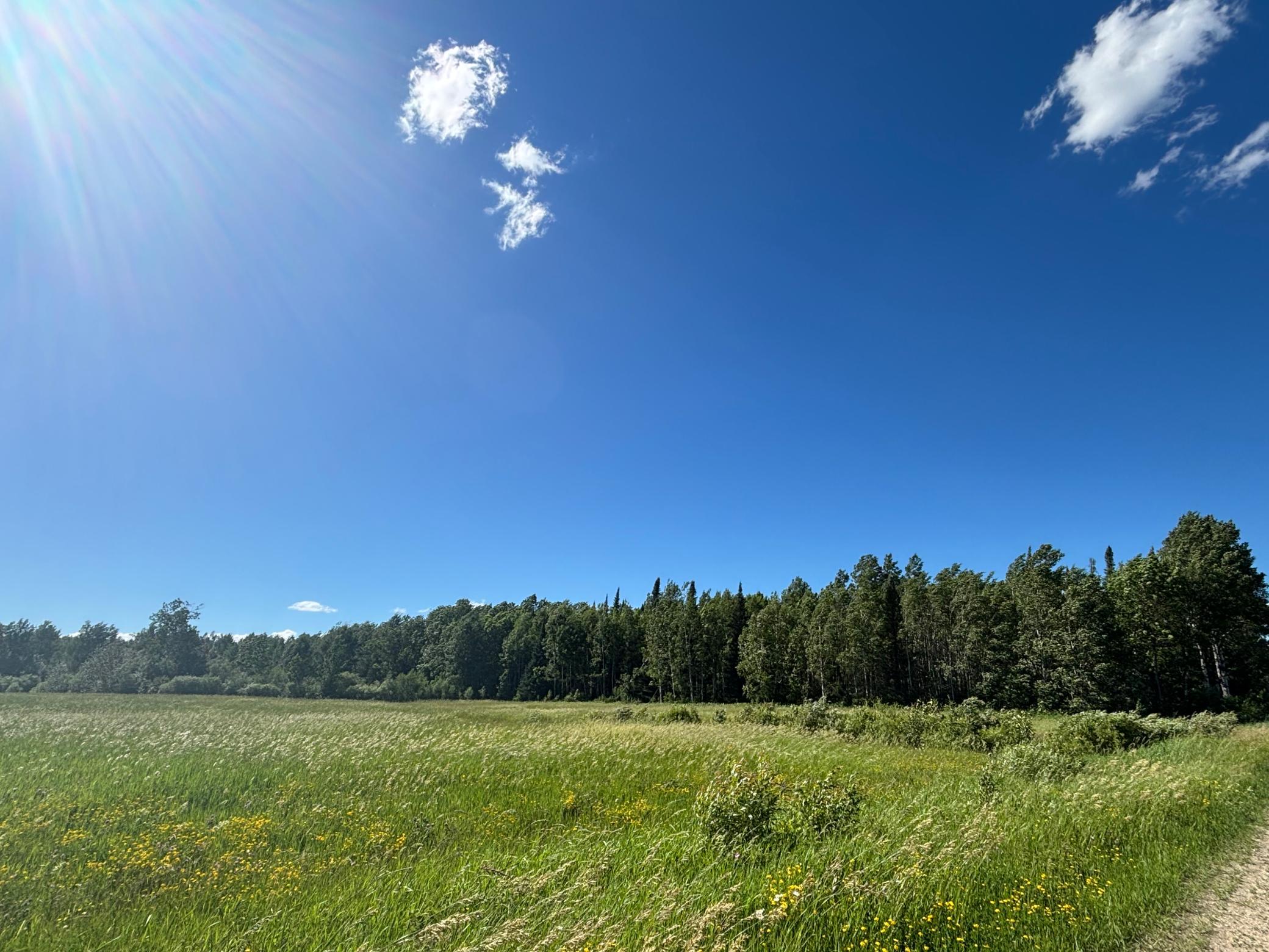 10 County Road Orr, MN 55771 - Photo 5 of 9