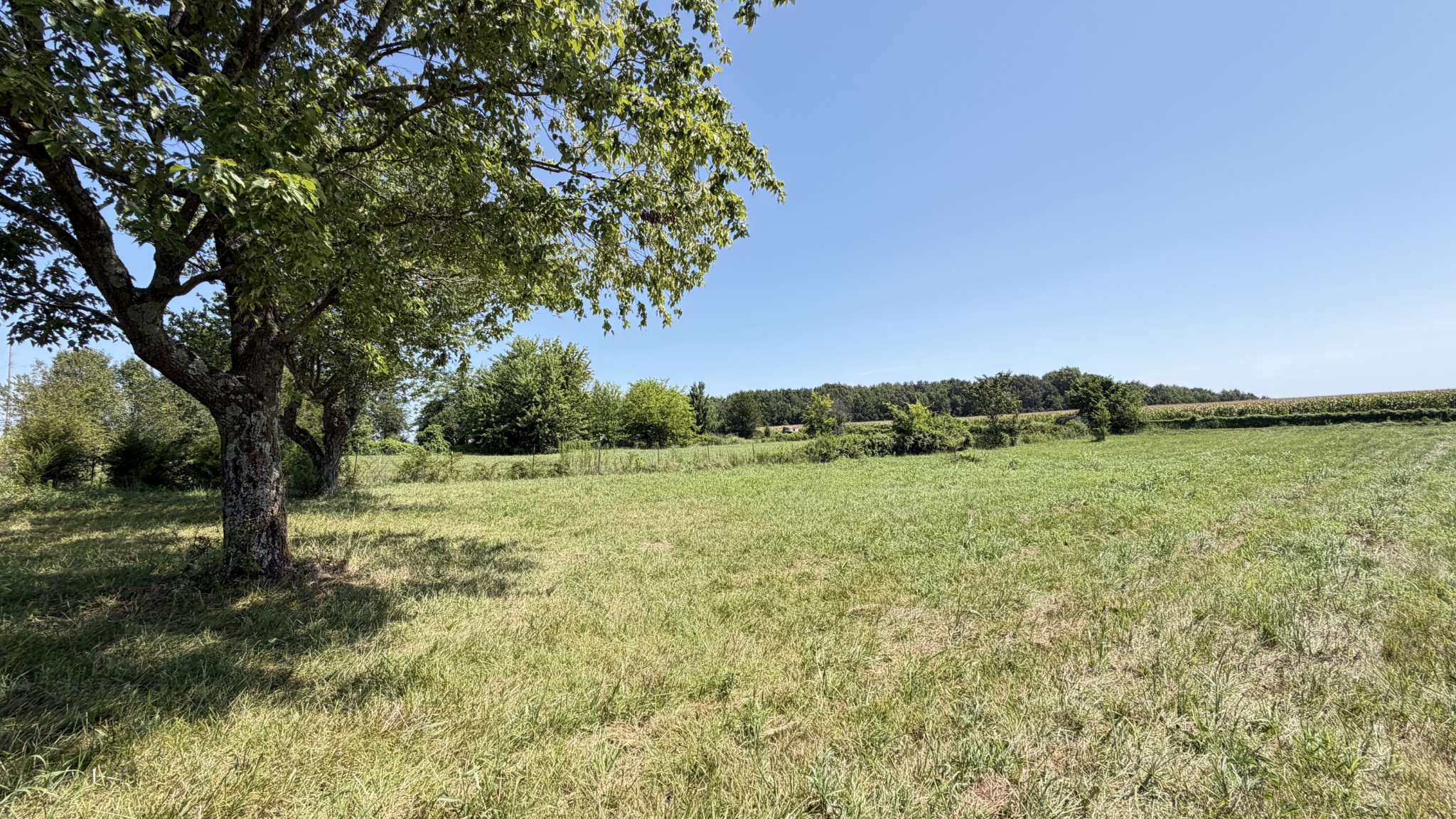 5901 Payne Road Portland, TN 37148 - Photo 20 of 26 Gallery Image 20