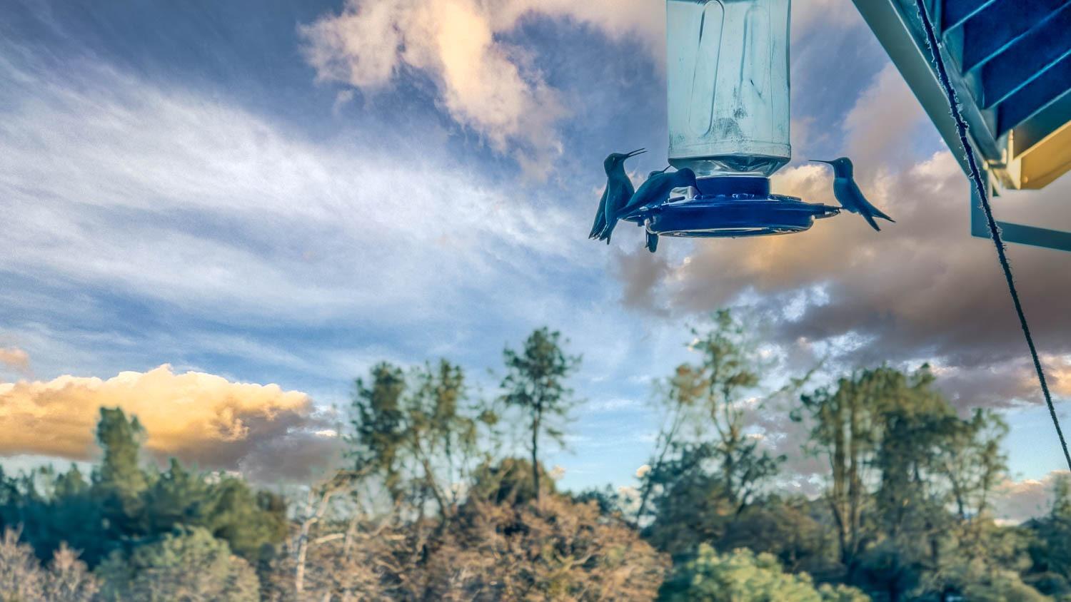 2661 Mountain Oak Lane Rescue, CA 95672 - Photo 18 of 88