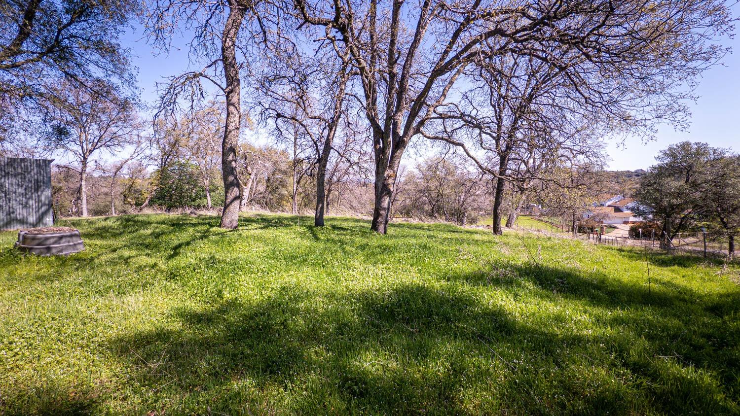 2661 Mountain Oak Lane Rescue, CA 95672 - Photo 74 of 88 Beautiful oak studded pasture with Sierra views