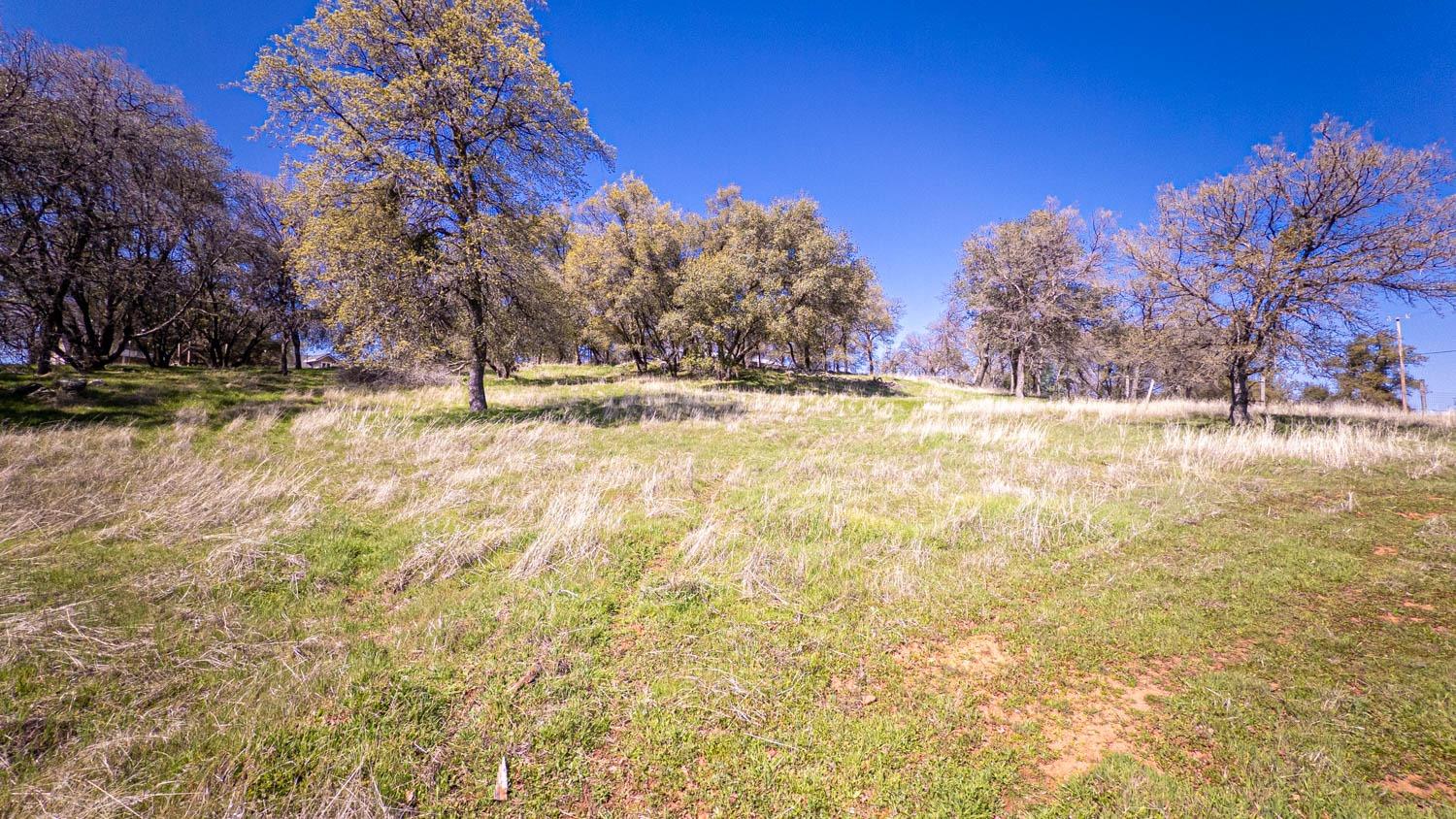 2661 Mountain Oak Lane Rescue, CA 95672 - Photo 76 of 88