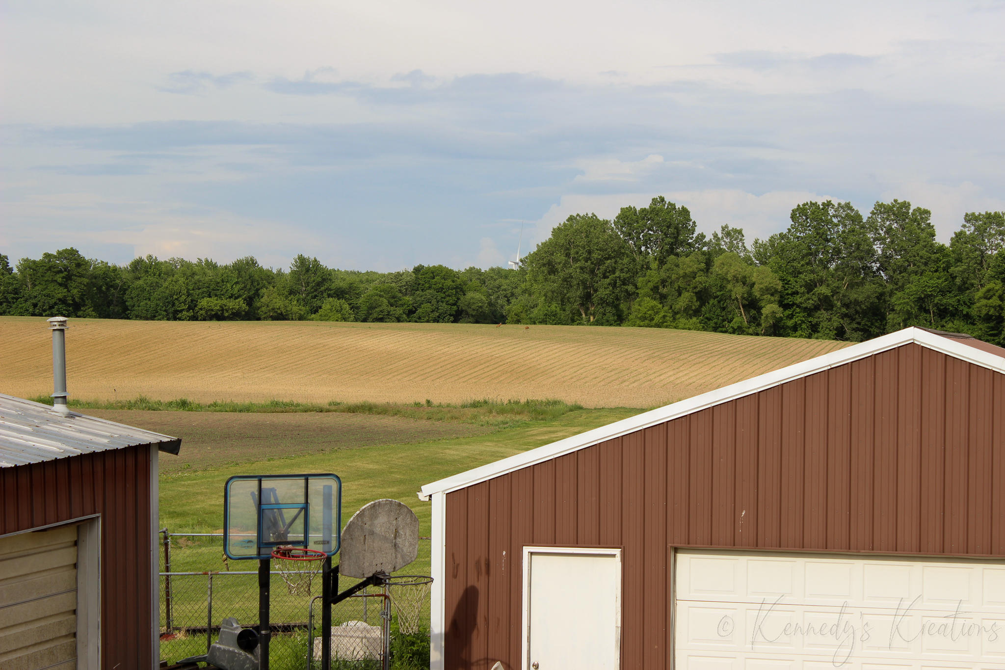 3333 Knowles Road North Adams, MI 49262 - Photo 28 of 28 IMG_5733
