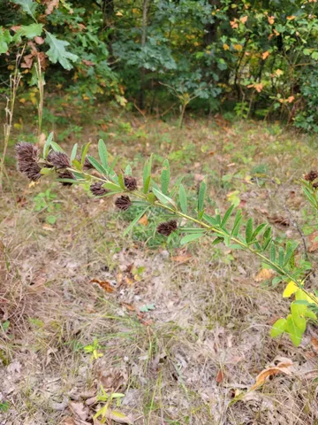 $189,000 | Lot 2 North 100th E Lake Village East, Lake Village, IN 46349