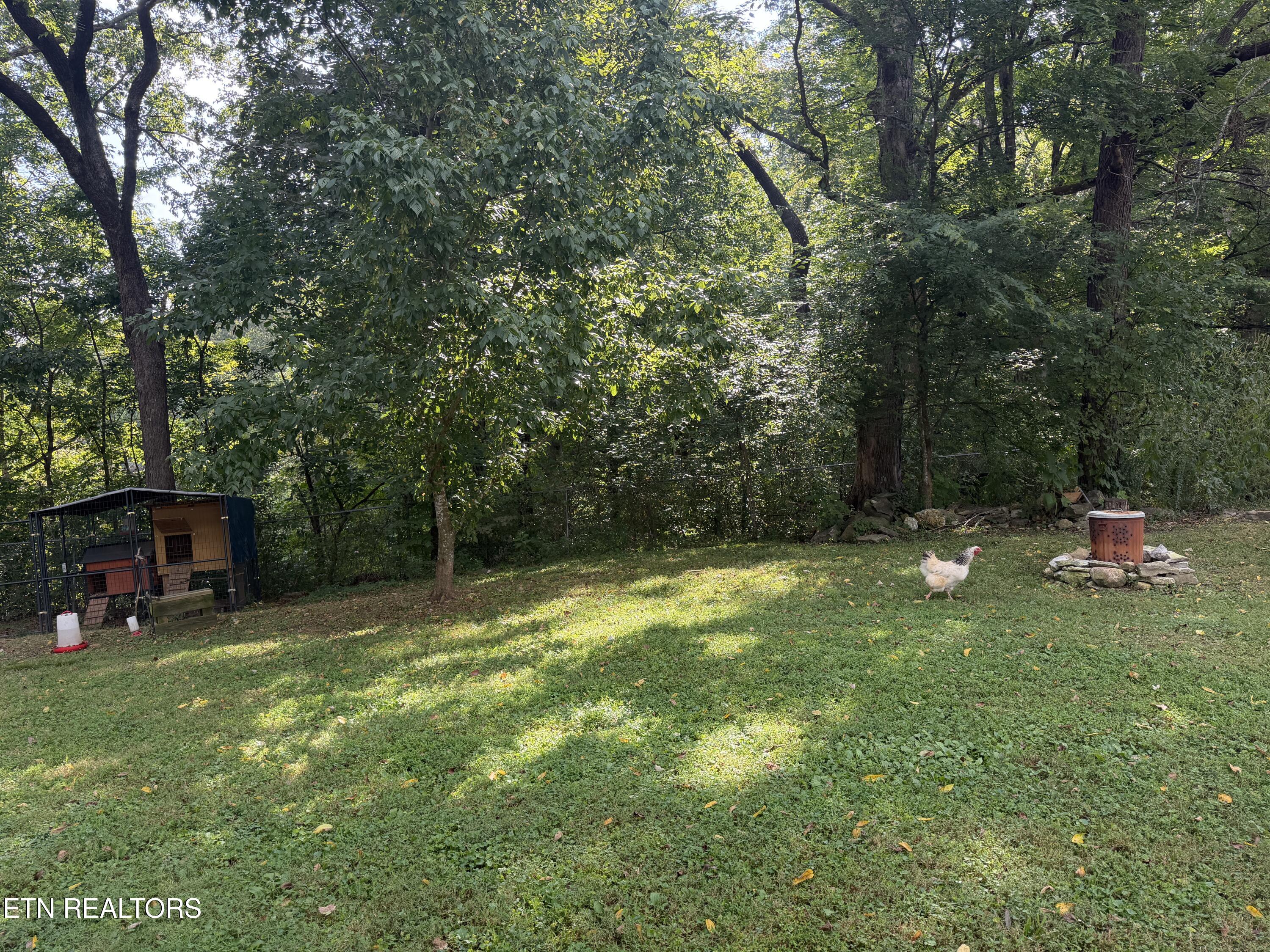 744 Cross Valley Road La Follette, TN 37766 - Photo 15 of 44 IMG_9746