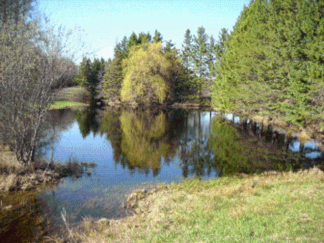 W4282 Cth D Phillips, WI 54555 - Photo 13 of 16 Gallery Image 13