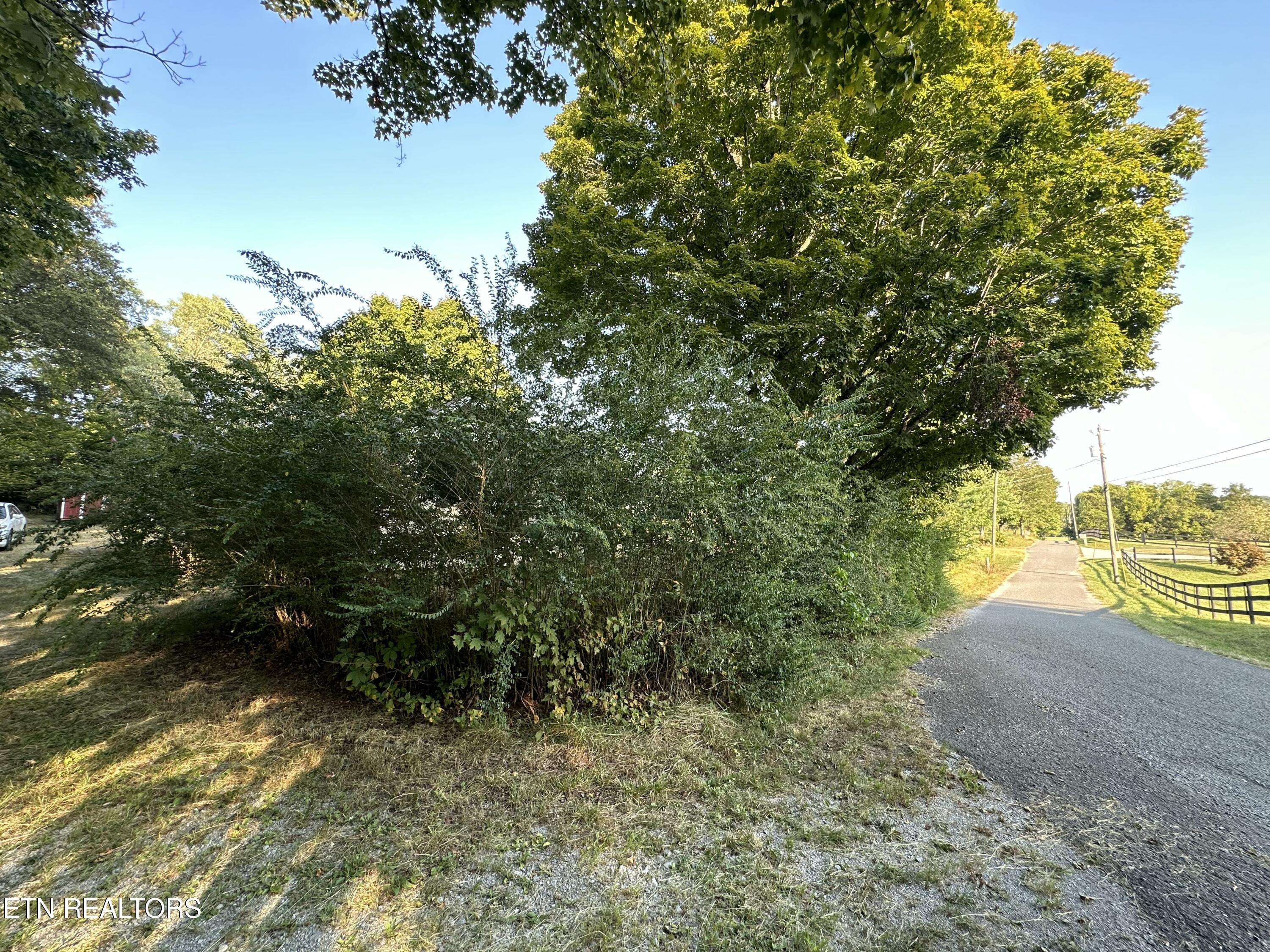 3520 Fulton Road Corryton, TN 37721 - Photo 7 of 10 IMG_7786