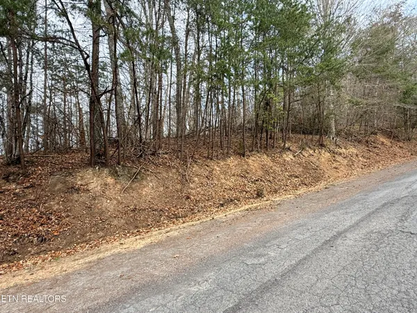 $23,975 | Lot 77 Grandpas Ridge, Sharps Chapel, TN 37866