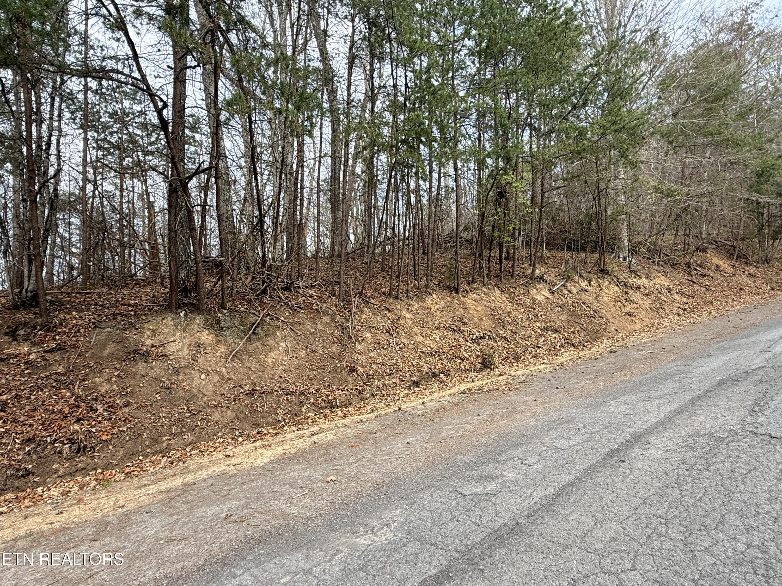 Lot 77 Grandpas Ridge Sharps Chapel, TN 37866 - Photo 1 of 34 Lot 77