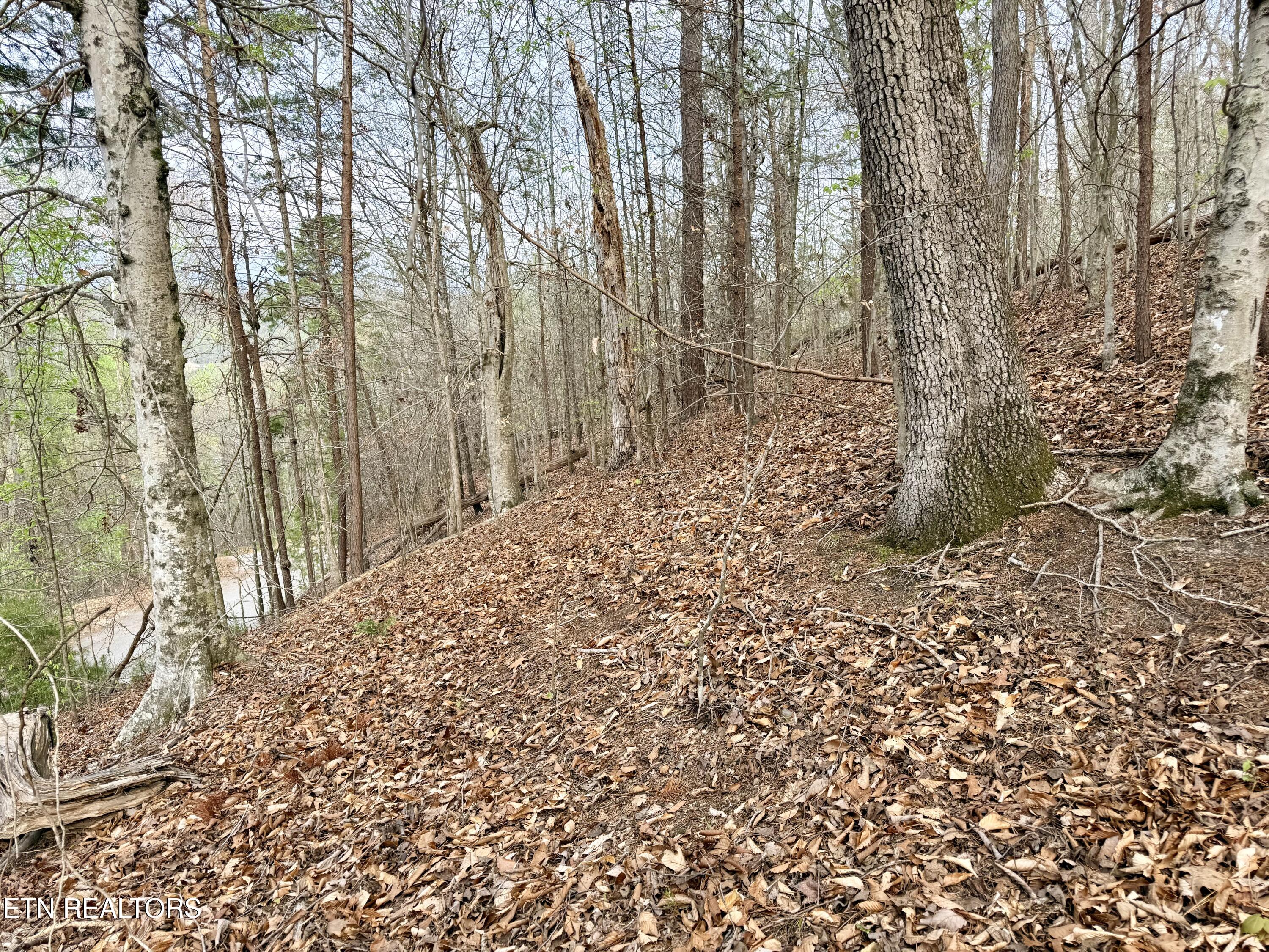 Lot 77 Grandpas Ridge Sharps Chapel, TN 37866 - Photo 12 of 34 Lot 77