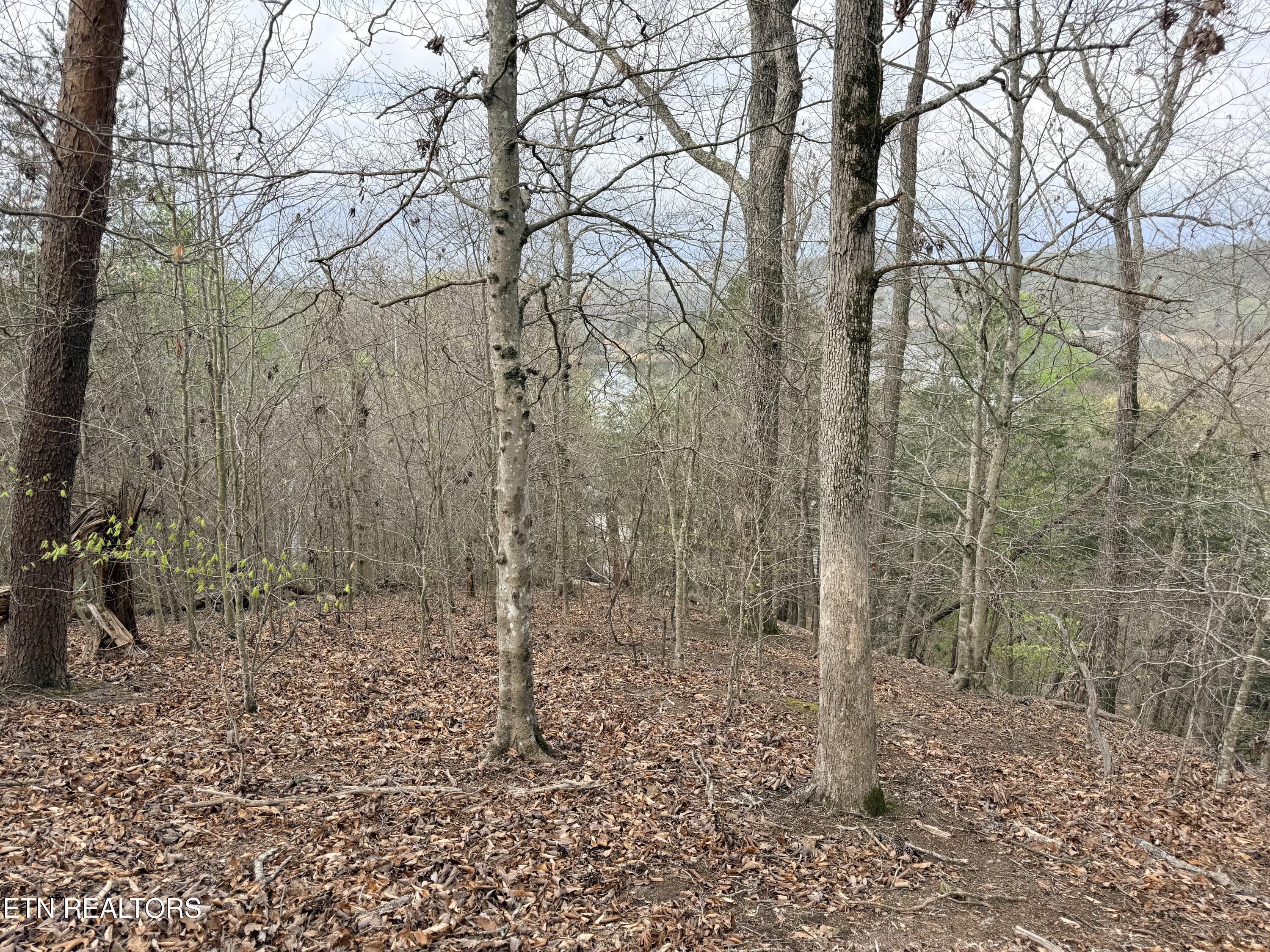 Lot 77 Grandpas Ridge Sharps Chapel, TN 37866 - Photo 16 of 34 Lot 77