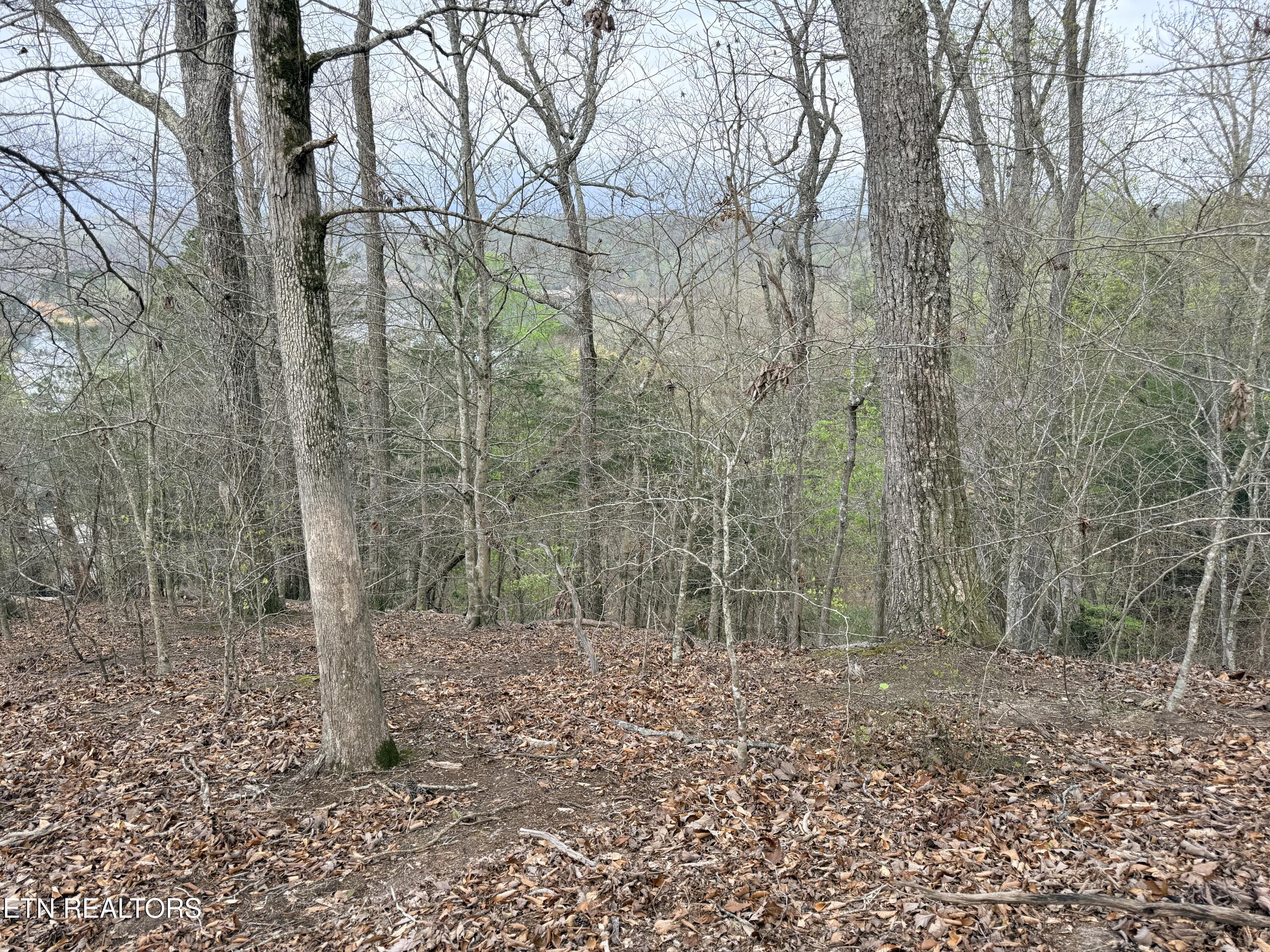 Lot 77 Grandpas Ridge Sharps Chapel, TN 37866 - Photo 17 of 34 Lot 77