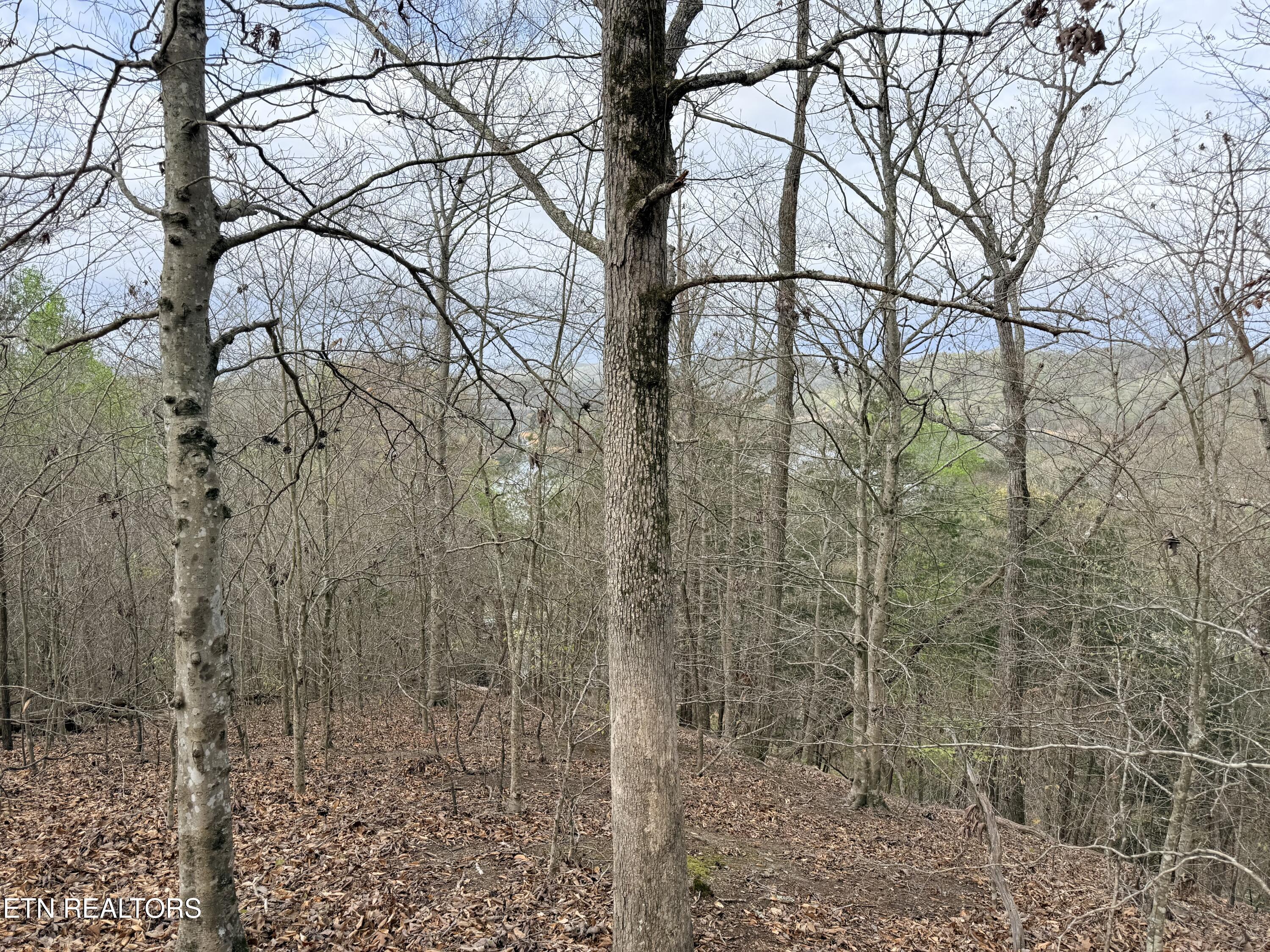 Lot 77 Grandpas Ridge Sharps Chapel, TN 37866 - Photo 20 of 34 Lot 77