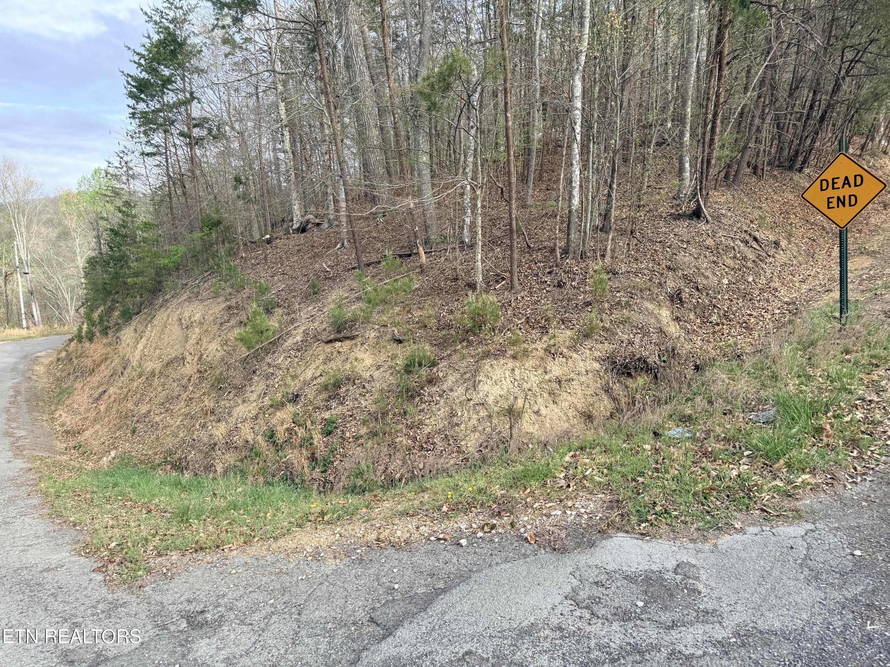 Lot 77 Grandpas Ridge Sharps Chapel, TN 37866 - Photo 2 of 34 Lot 77