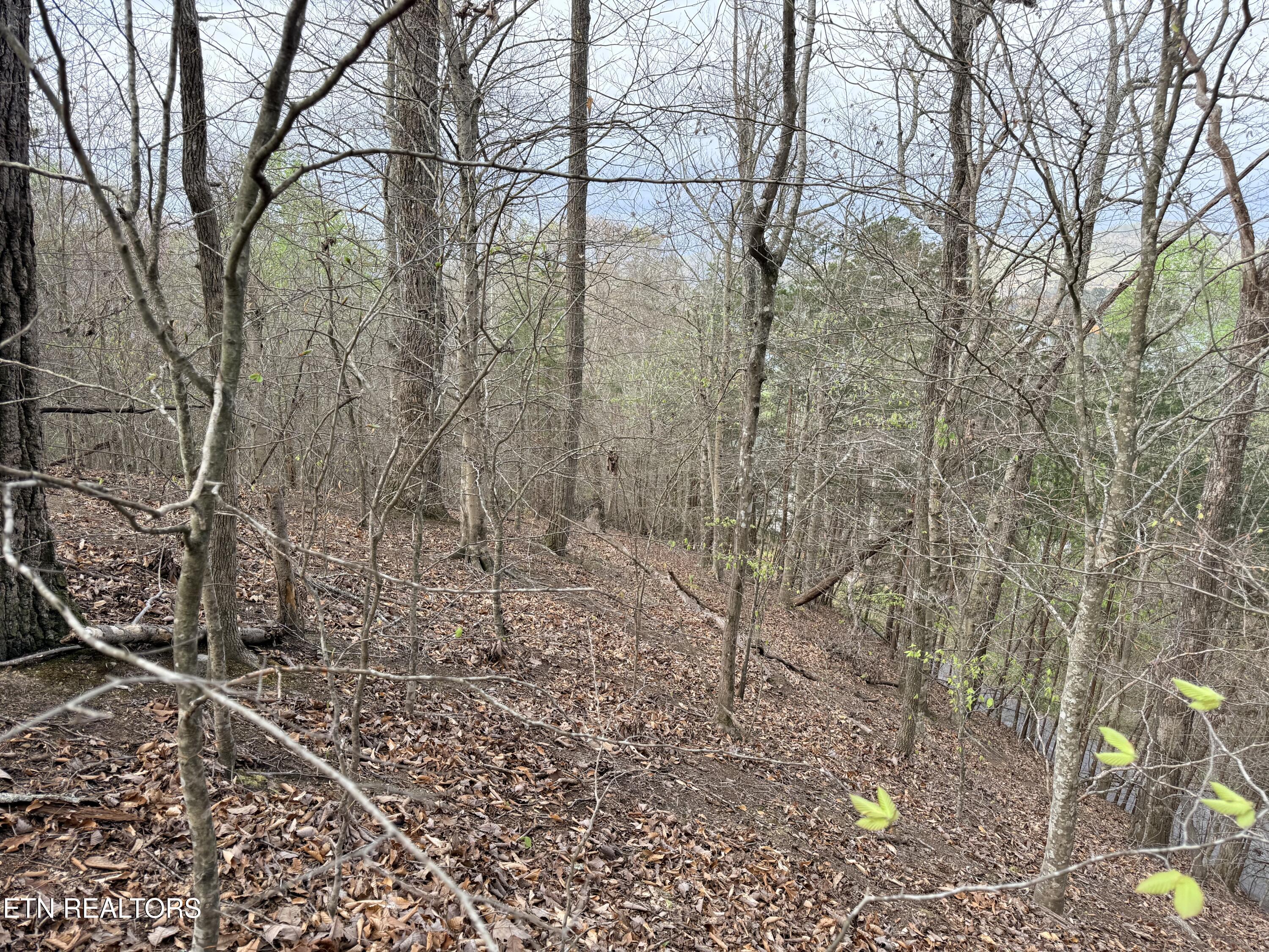 Lot 77 Grandpas Ridge Sharps Chapel, TN 37866 - Photo 21 of 34 Lot 77