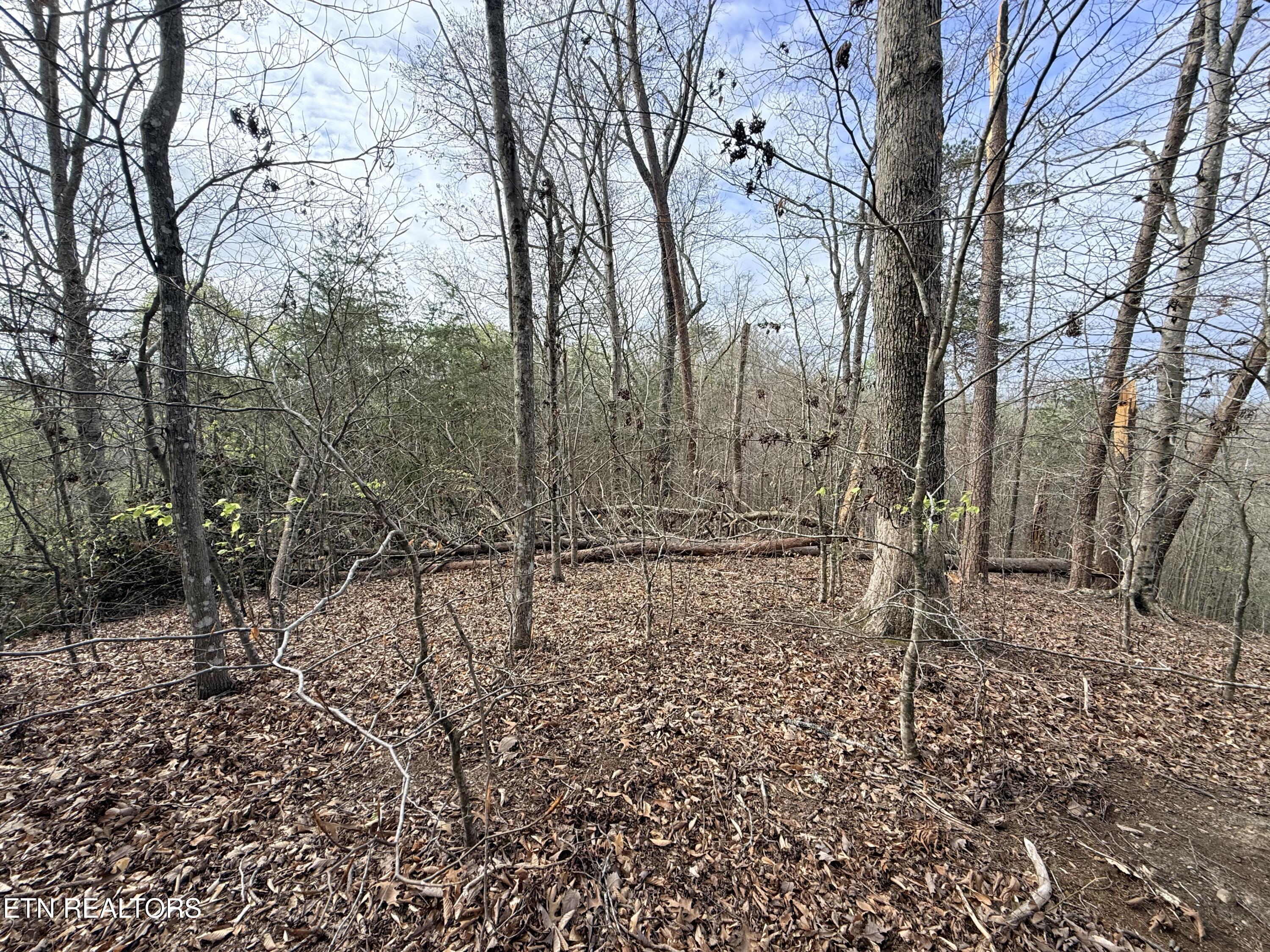 Lot 77 Grandpas Ridge Sharps Chapel, TN 37866 - Photo 22 of 34 Lot 77