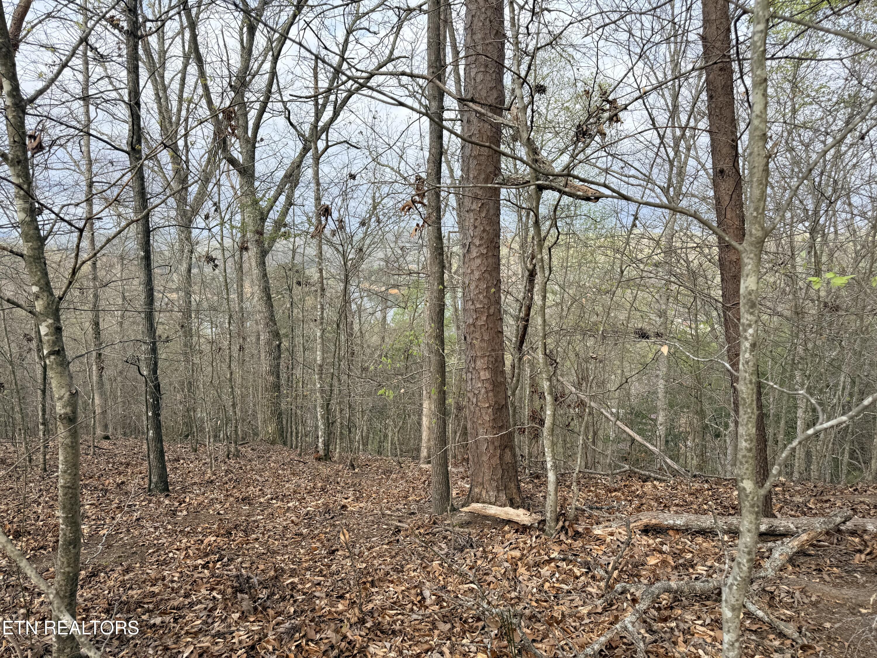 Lot 77 Grandpas Ridge Sharps Chapel, TN 37866 - Photo 23 of 34 Lot 77