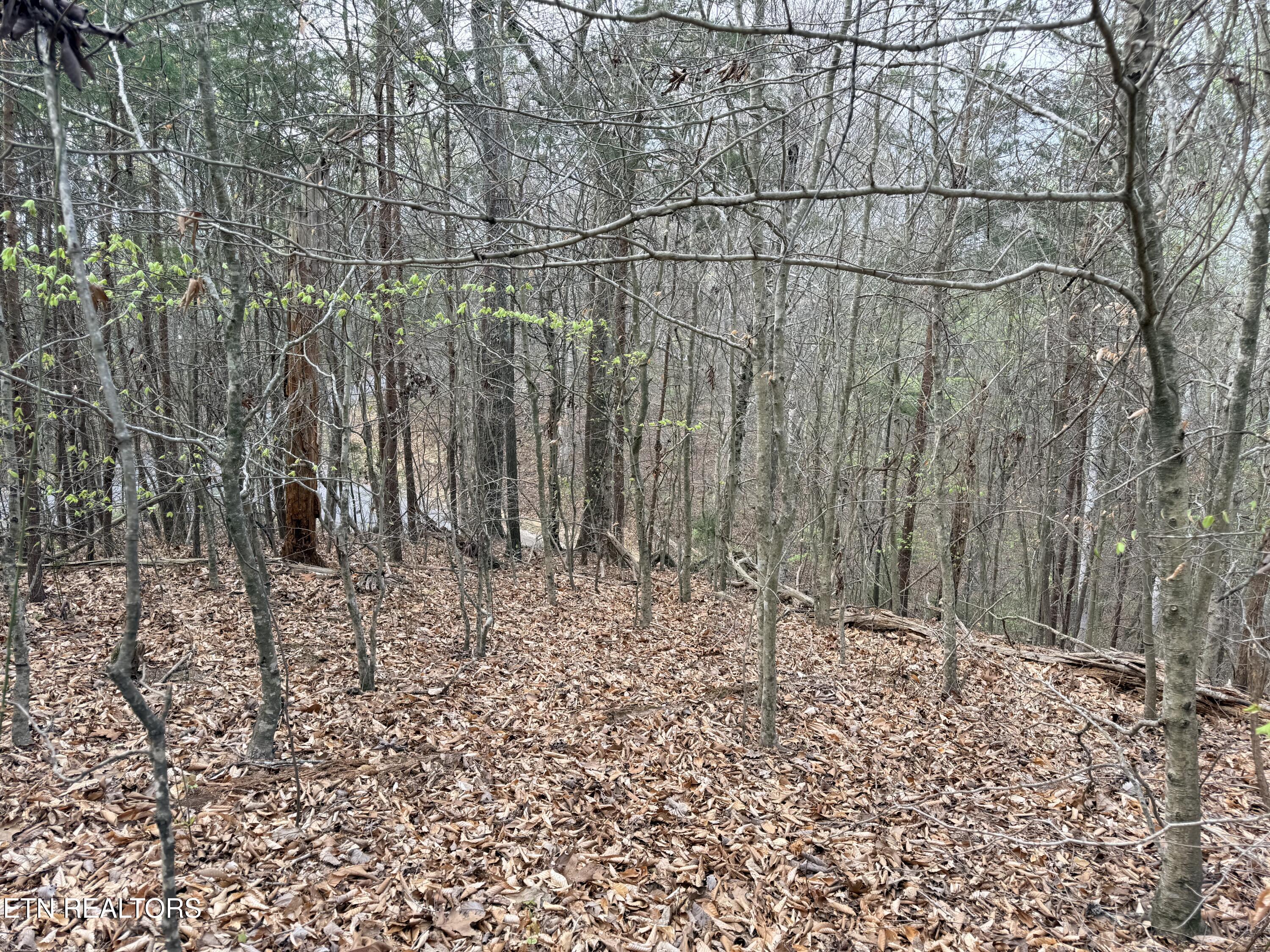 Lot 77 Grandpas Ridge Sharps Chapel, TN 37866 - Photo 24 of 34 Lot 77