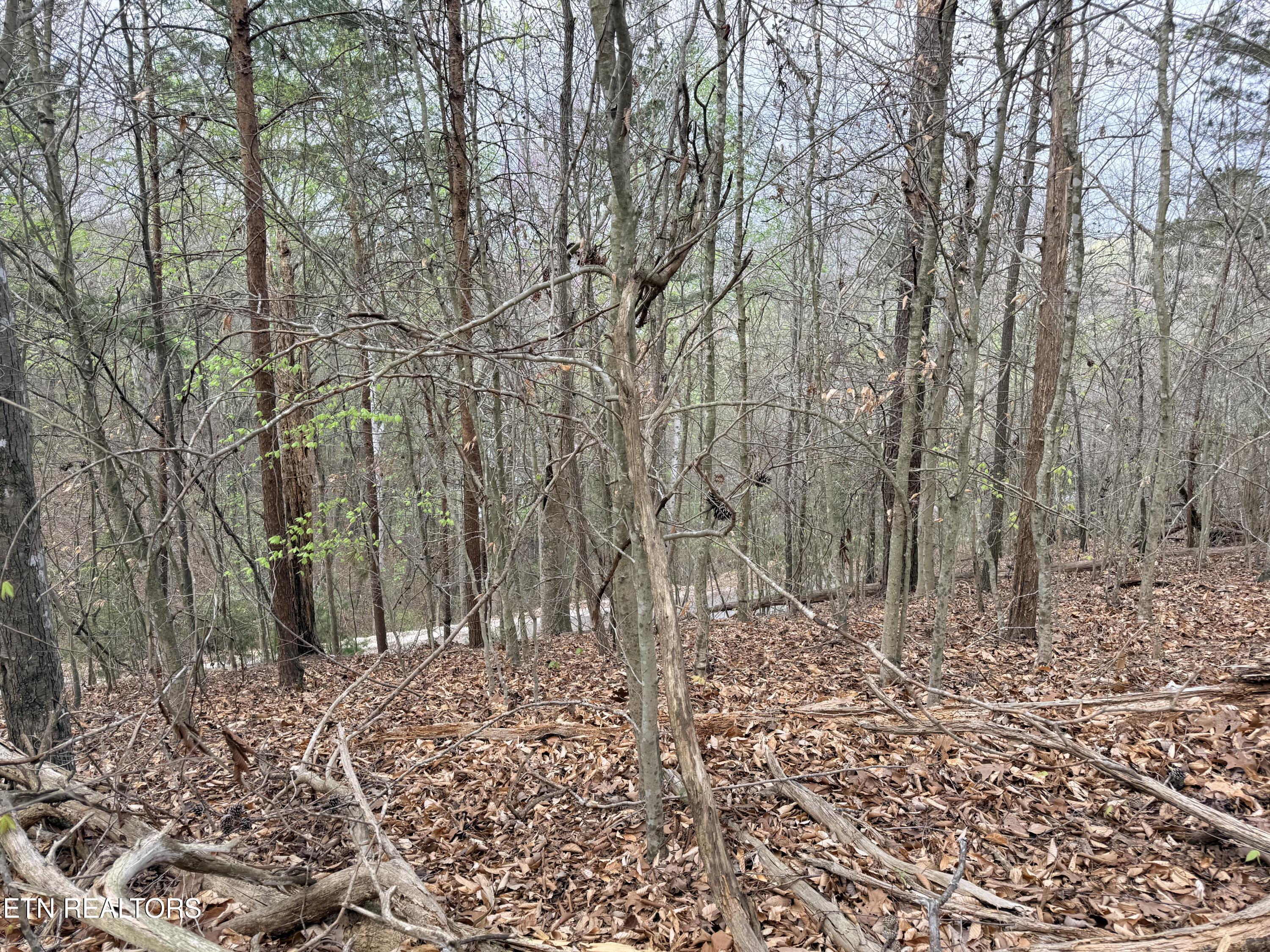 Lot 77 Grandpas Ridge Sharps Chapel, TN 37866 - Photo 25 of 34 Lot 77