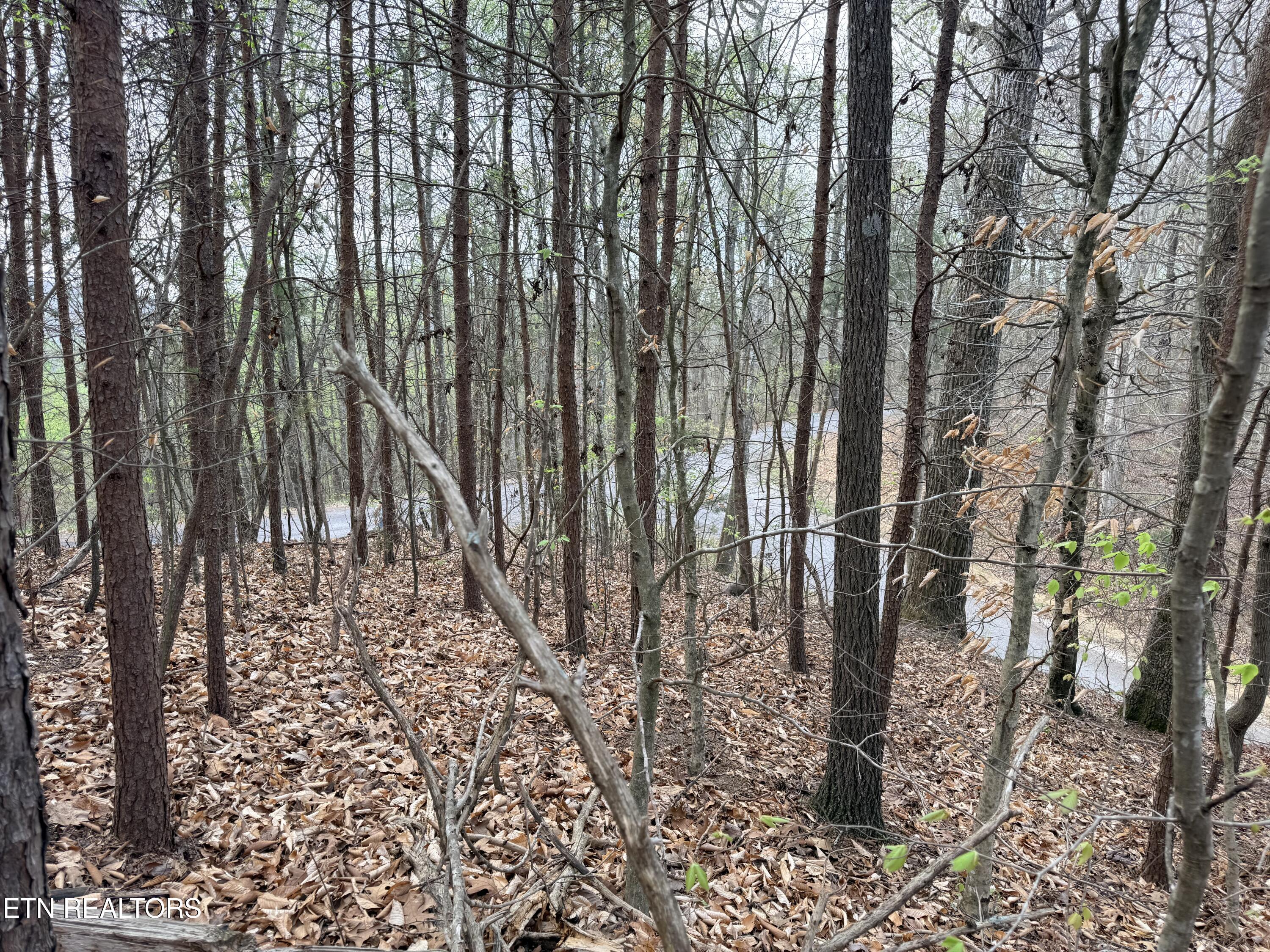 Lot 77 Grandpas Ridge Sharps Chapel, TN 37866 - Photo 26 of 34 Lot 77