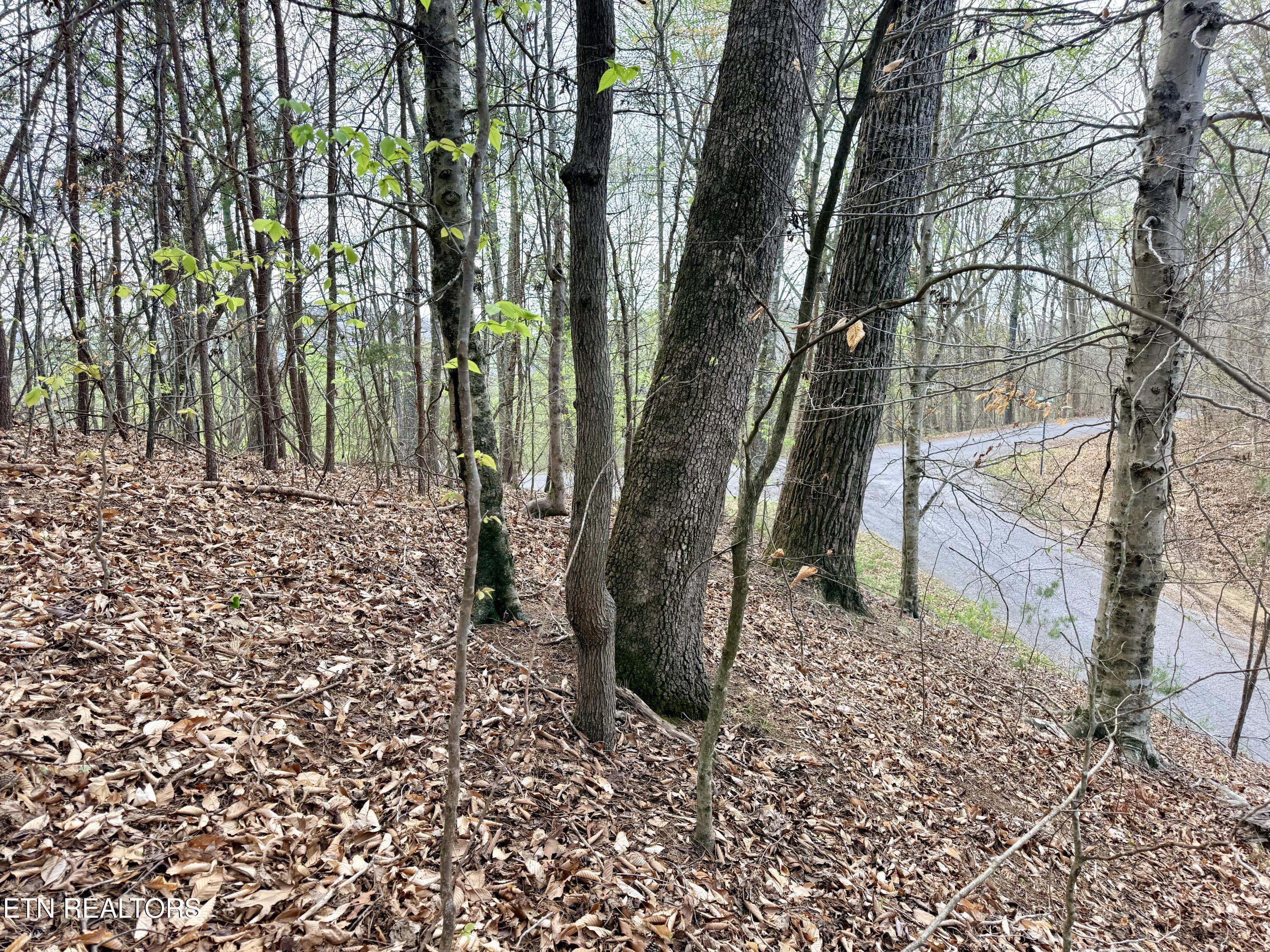Lot 77 Grandpas Ridge Sharps Chapel, TN 37866 - Photo 27 of 34 Lot 77