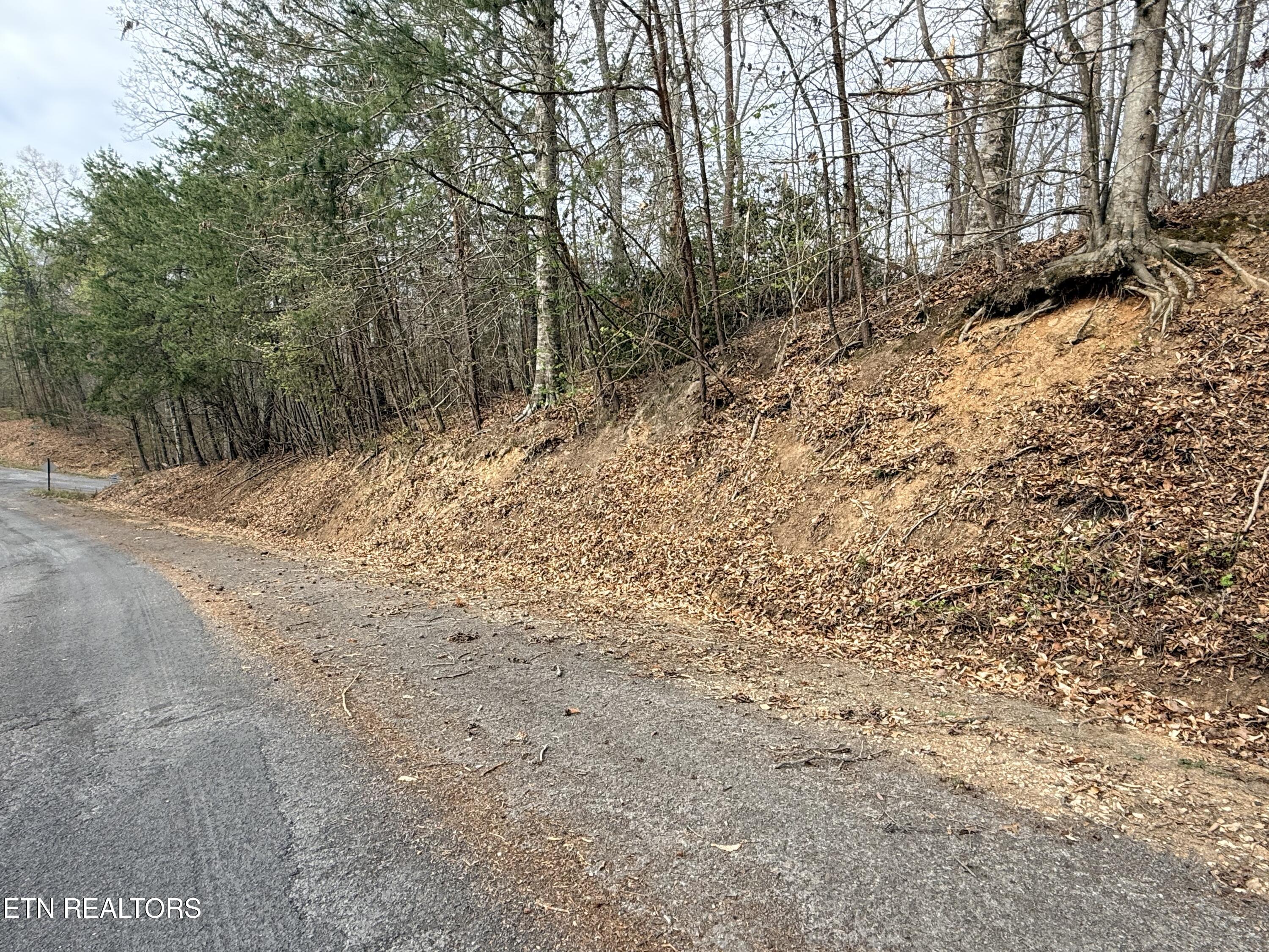 Lot 77 Grandpas Ridge Sharps Chapel, TN 37866 - Photo 29 of 34 Lot 77