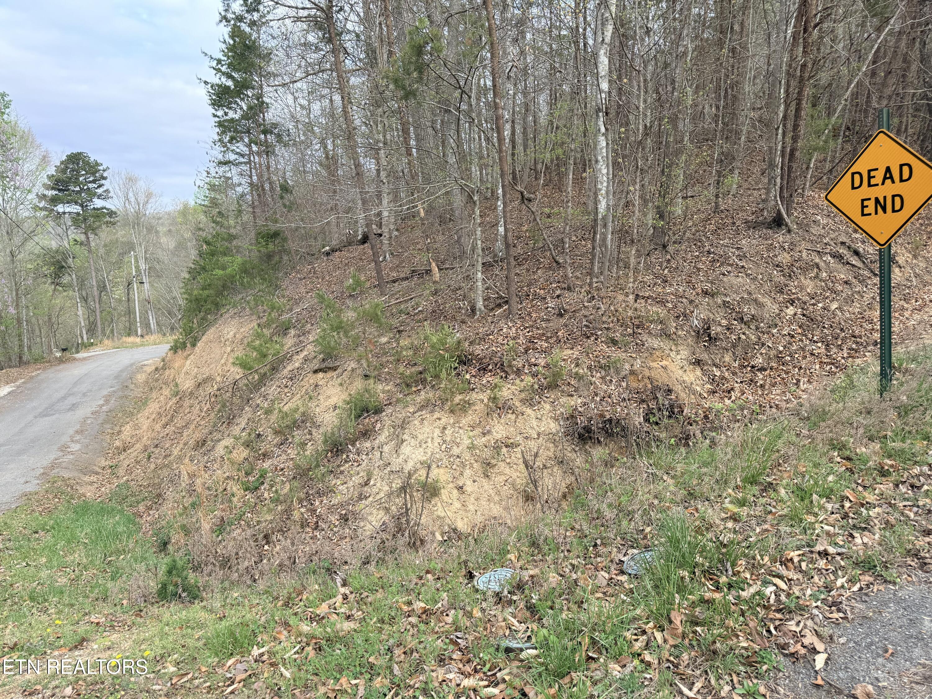 Lot 77 Grandpas Ridge Sharps Chapel, TN 37866 - Photo 30 of 34 Lot 77