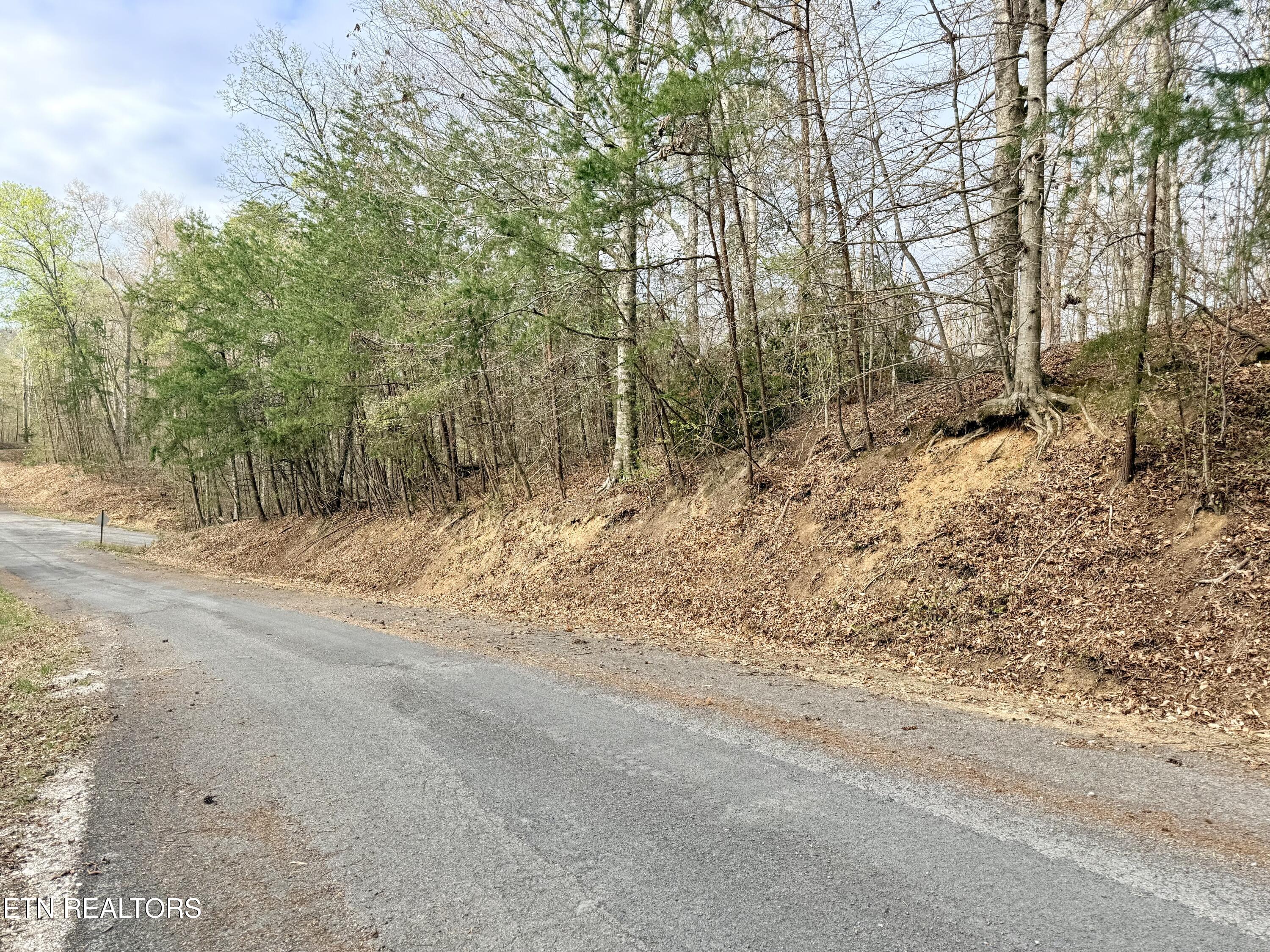Lot 77 Grandpas Ridge Sharps Chapel, TN 37866 - Photo 3 of 34 Lot 77