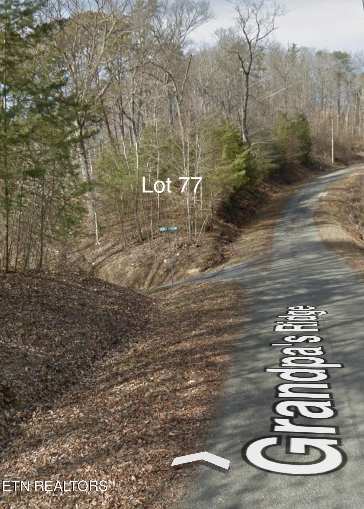 Lot 77 Grandpas Ridge Sharps Chapel, TN 37866 - Photo 32 of 34 Google Map View