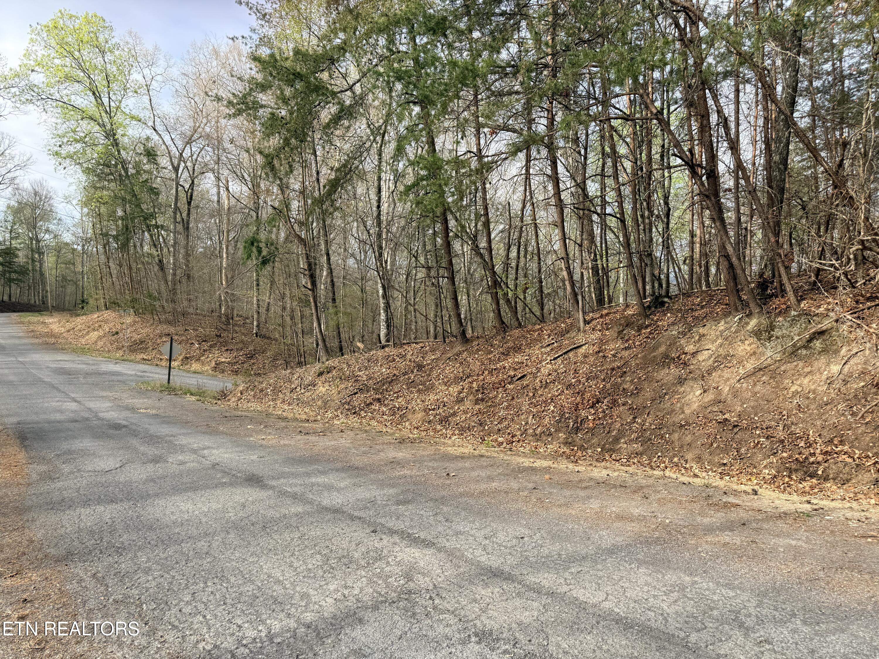Lot 77 Grandpas Ridge Sharps Chapel, TN 37866 - Photo 4 of 34 Lot 77