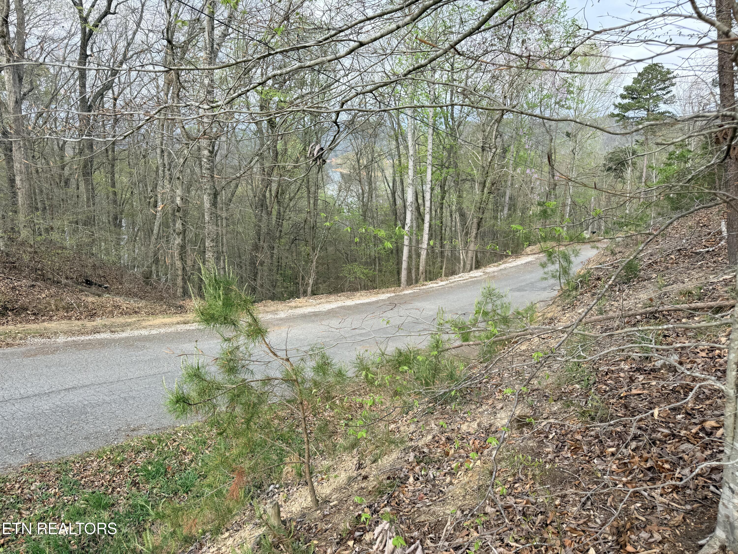 Lot 77 Grandpas Ridge Sharps Chapel, TN 37866 - Photo 5 of 34 Lot 77
