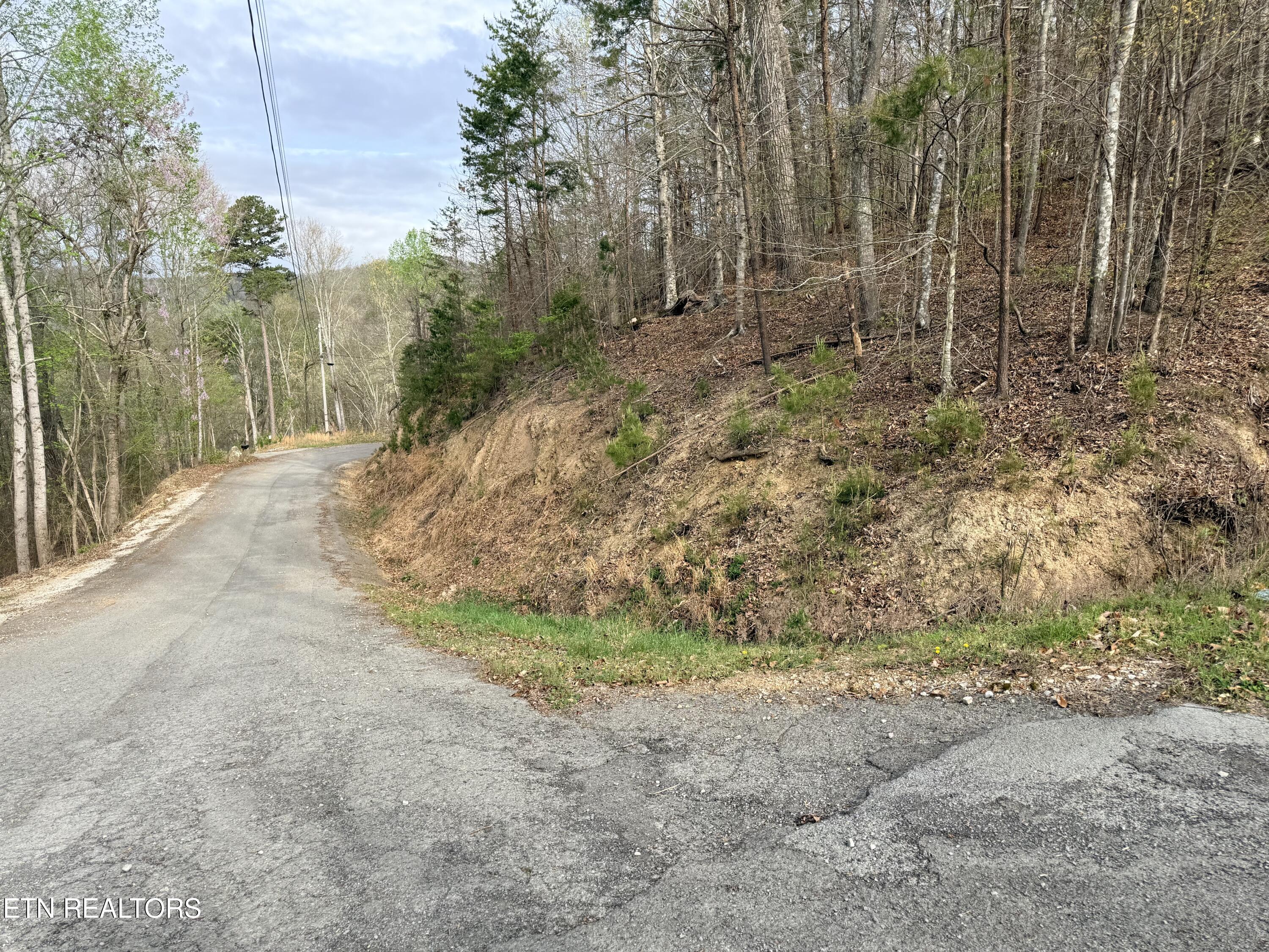 Lot 77 Grandpas Ridge Sharps Chapel, TN 37866 - Photo 6 of 34 Lot 77