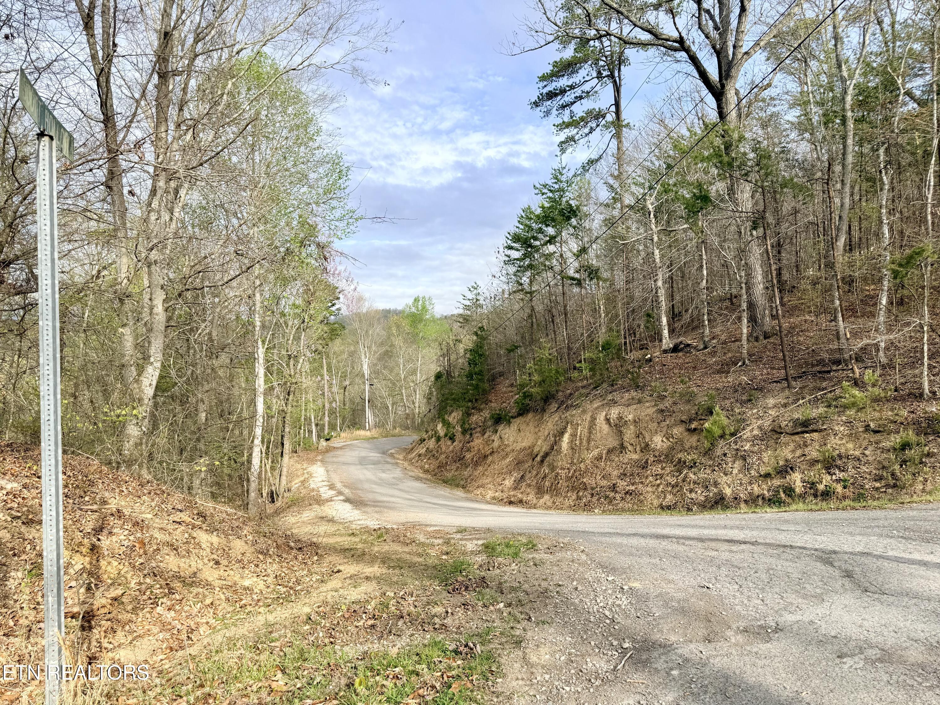 Lot 77 Grandpas Ridge Sharps Chapel, TN 37866 - Photo 9 of 34 Lot 77