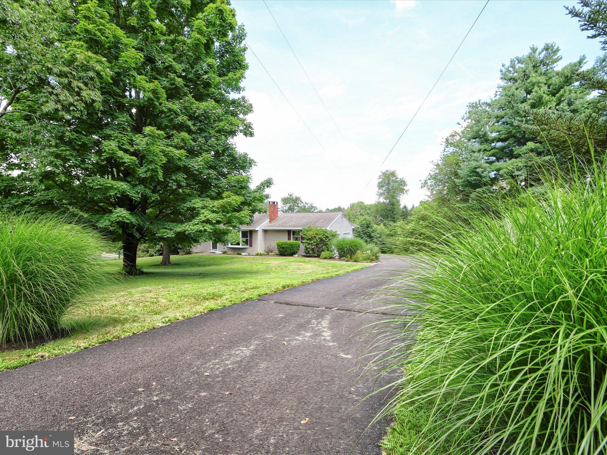 1209 Telegraph Road Perkasie, PA 18944 - Photo 38 of 49 a view of a park with plants and trees