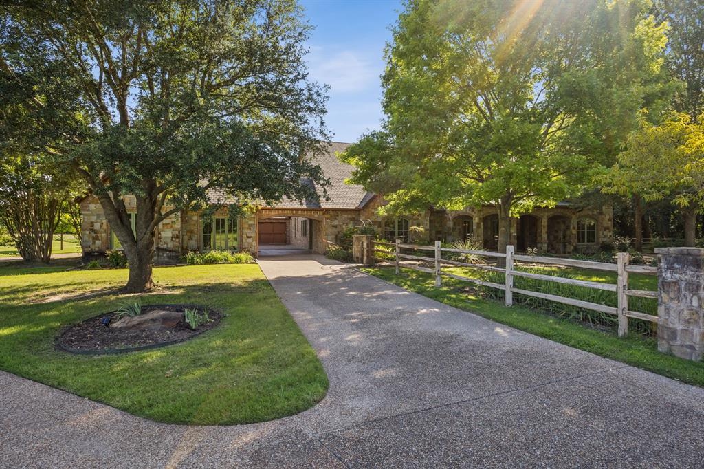 a view of a park with large trees