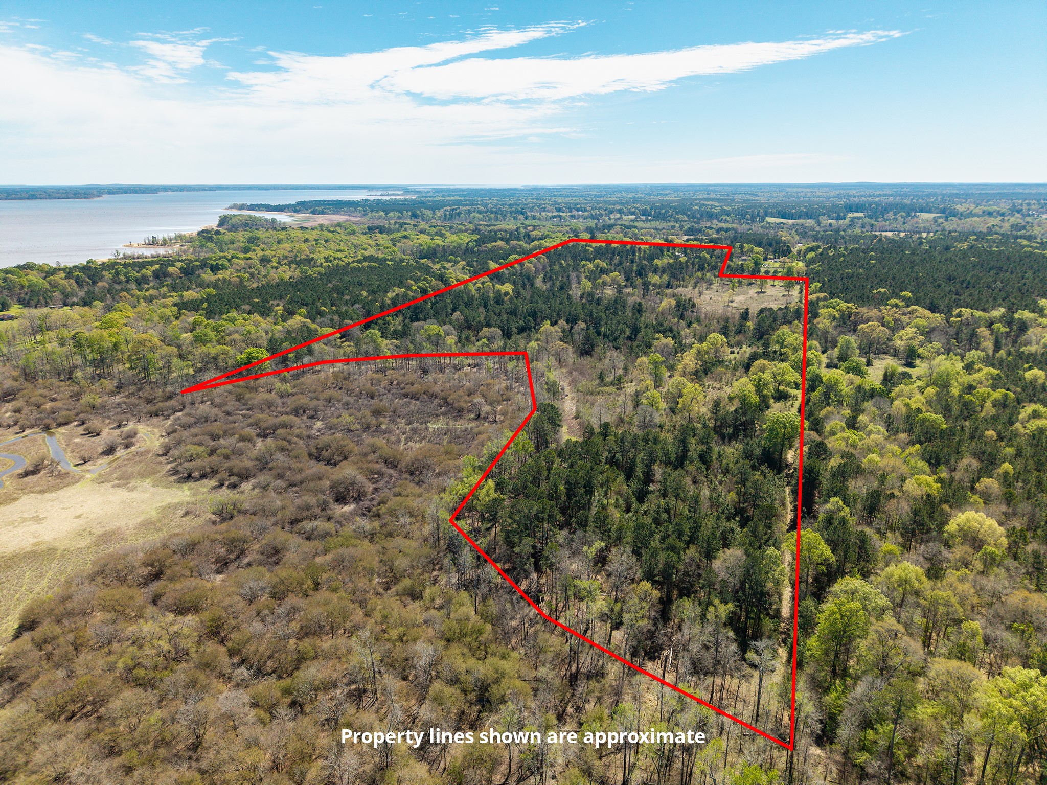 621 Herman Nerren Road Huntington, TX 75949 - Photo 4 of 10