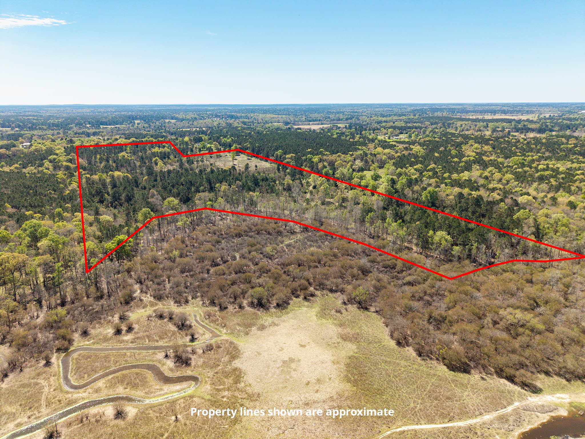 621 Herman Nerren Road Huntington, TX 75949 - Photo 5 of 10