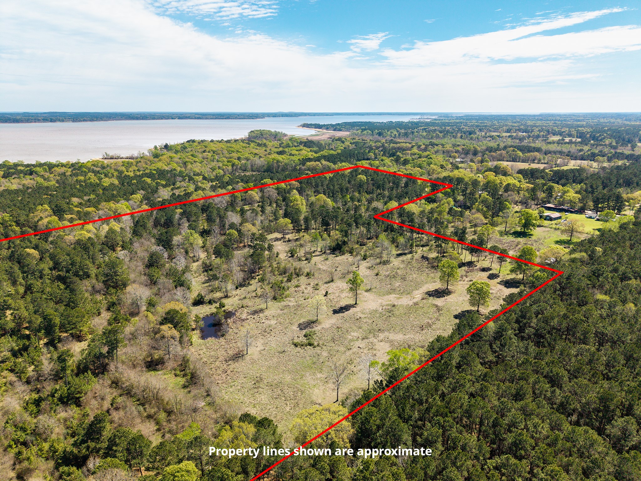 621 Herman Nerren Road Huntington, TX 75949 - Photo 6 of 10